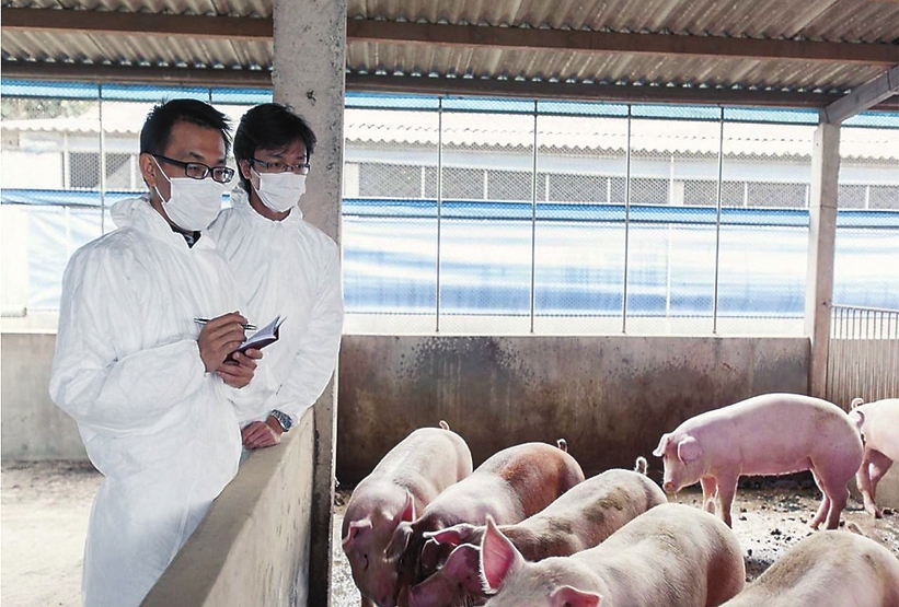 吉林省无抗畜禽养殖促进畜牧业绿色发展纪实