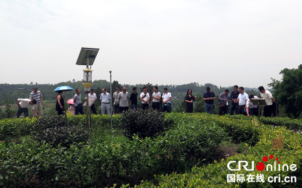 图片默认标题_fororder_考察组参观凉厅子农旅融合产业园