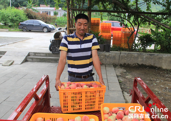 图片默认标题_fororder_装箱送运