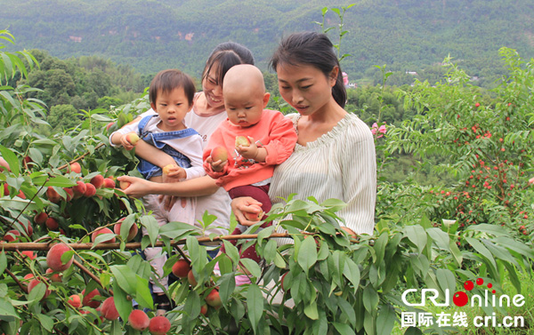 图片默认标题_fororder_体验采摘乐趣