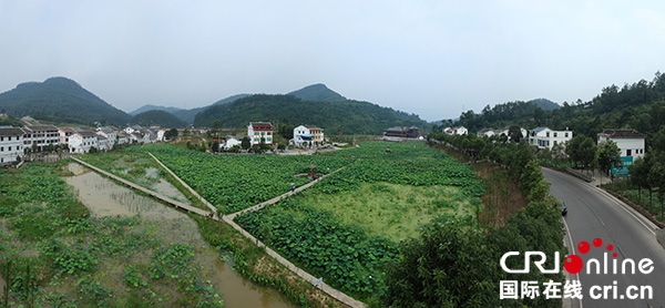 图片默认标题_fororder_荷花园全景图（供图-昭化区）