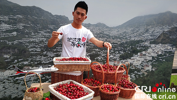 图片默认标题_fororder_市民品尝汉源甜樱桃（摄影：葛旺）