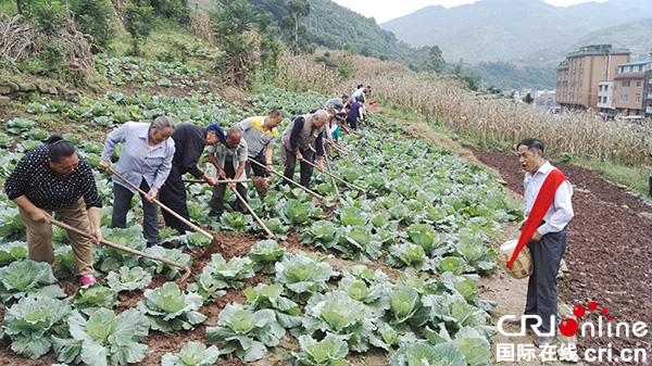图片默认标题_fororder_44