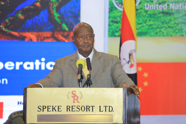 图片默认标题_fororder_03