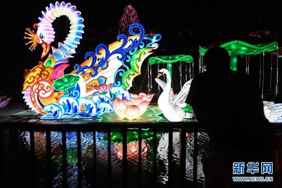 新华网■自贡彩灯营造圣地亚哥魅力中国夜