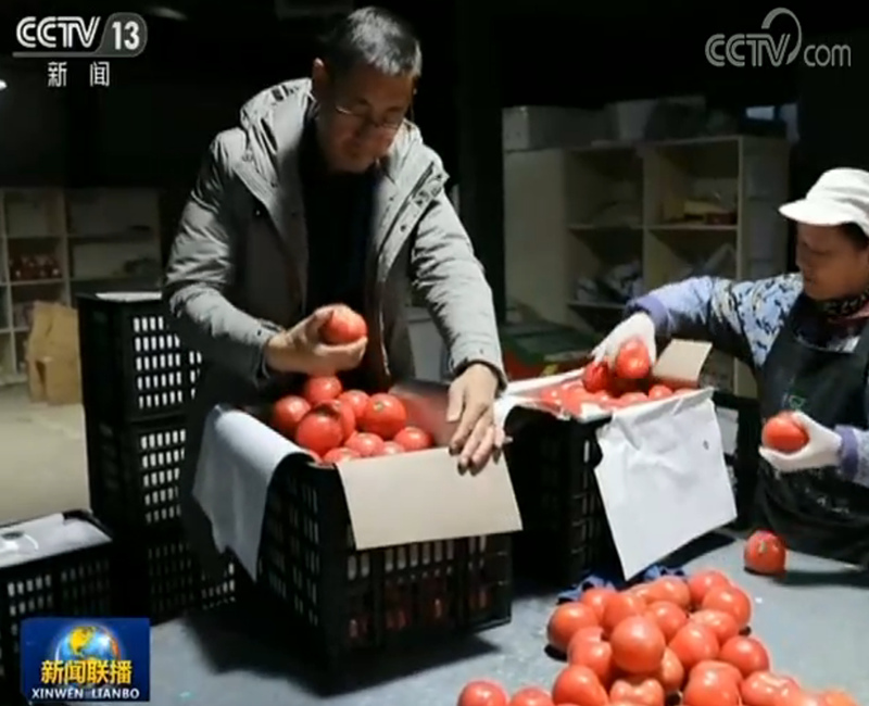 央视网@【走基层看“六稳”】农场里的“职业经理人”