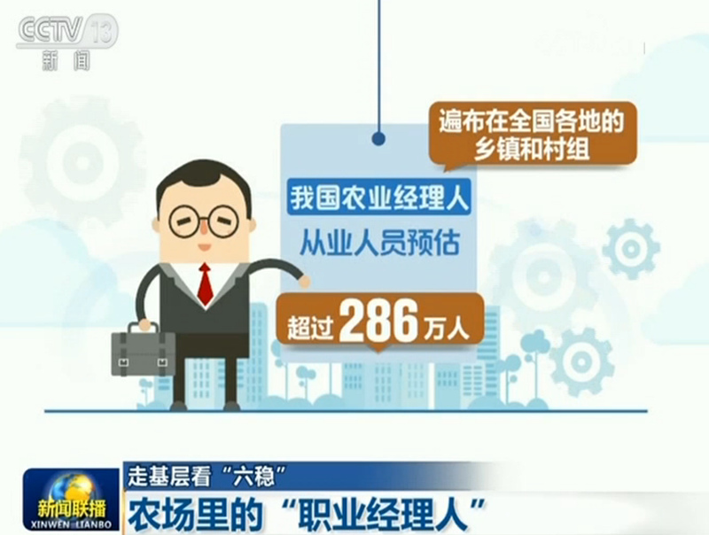 央视网@【走基层看“六稳”】农场里的“职业经理人”