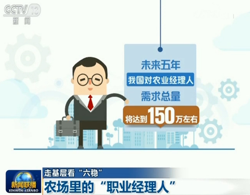央视网@【走基层看“六稳”】农场里的“职业经理人”