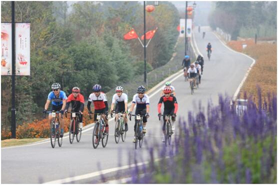 （供稿 文体列表 三吴大地南京 移动版）首届不止骑•2019环南京自行车赛收官