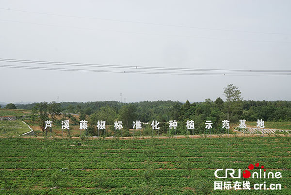 绵阳三台县2020年上_绵阳市三台县召开2020学校食堂食品安全管理培训会