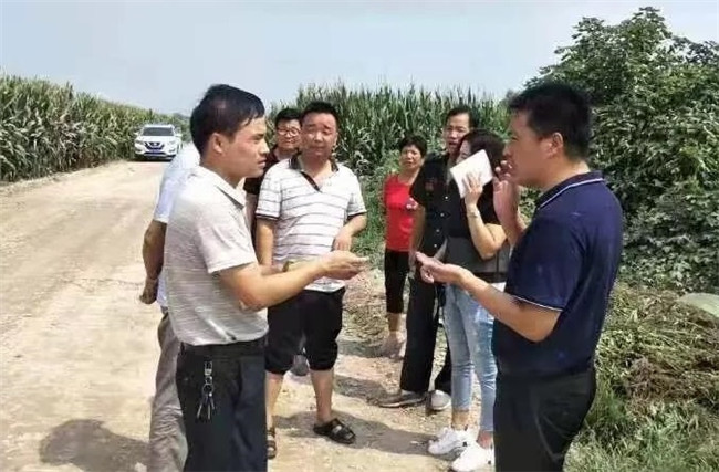 兴平市桑镇：灌溉最高限价 降低群众负担