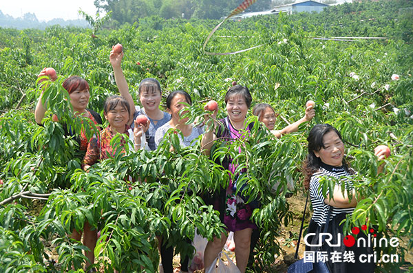 图片默认标题_fororder_1