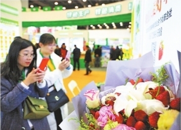 武汉有机农产品亮相中国绿色食品博览会