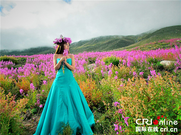 图片默认标题_fororder_明星阿兰在红海草原