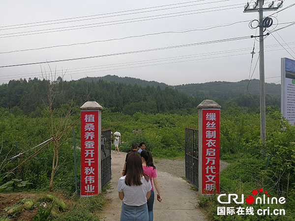 图片默认标题_fororder_1