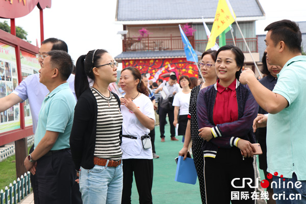 图片默认标题_fororder_翠屏区宋家镇黄杨书记向市、区领导介绍省定贫困村胡坝村乡村振兴工作