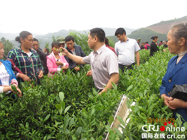 图片默认标题_fororder_3