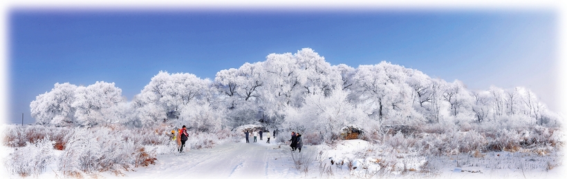 打造世界冰雪经济“第三极”——来自吉林省冰雪经济发展大会的报道