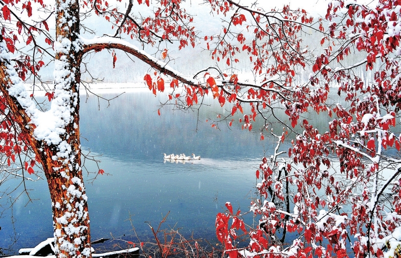 行走“雾凇之都” 遇见“滑雪天堂”——畅游吉林市浪漫之冬