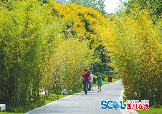 （头条-文字列表）为了绿色低碳 成都竟然悄悄花了这么多功夫