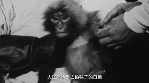 「中国青年报」“糖丸” 的记忆 | 中国有故事