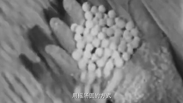 「中国青年报」“糖丸” 的记忆 | 中国有故事