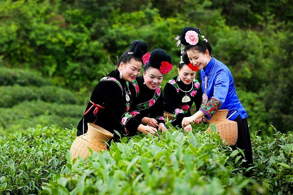 80后苗族美女放弃铁饭碗回到深山，为完成爷爷遗愿走红抖音