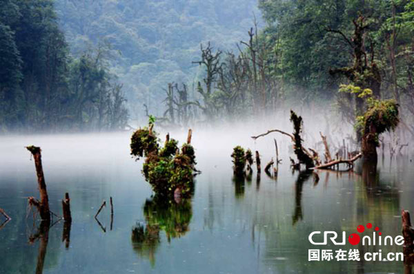 图片默认标题_fororder_1