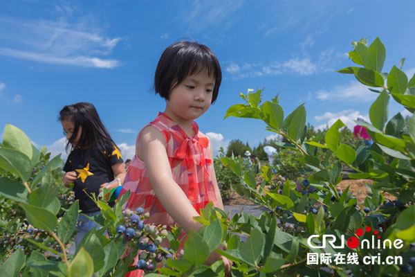 图片默认标题_fororder_3