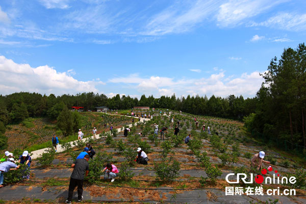 图片默认标题_fororder_4