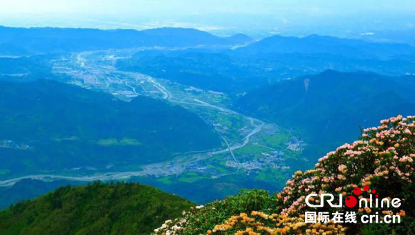 图片默认标题_fororder_3