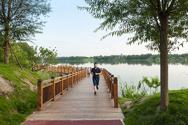 市民在温江鲁家滩湿地公园跑步 摄影 向实