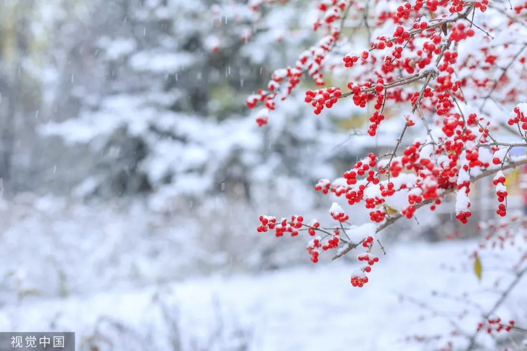 「人民日报」今日大雪