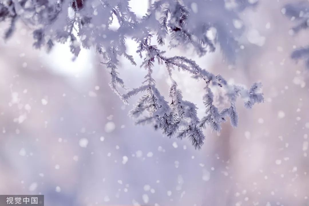 「人民日报」今日大雪