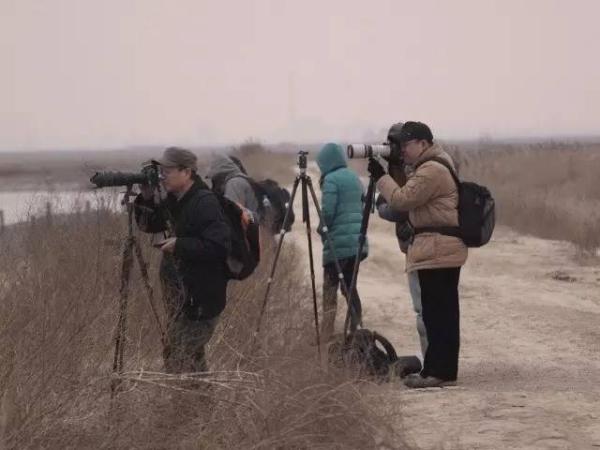 「天津人民广播电台」重磅 | 天津这里要申报世界自然遗产啦！