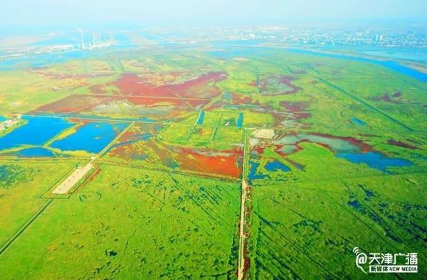 「天津人民广播电台」重磅 | 天津这里要申报世界自然遗产啦！