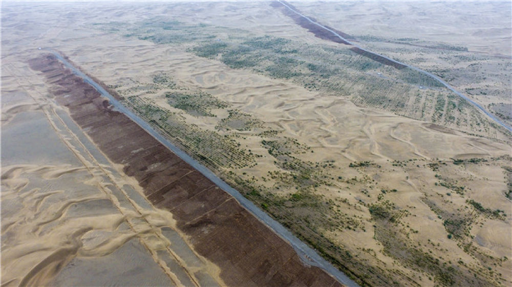 新华社@大漠小城的绝地反击