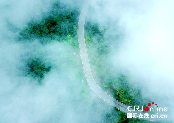 图片默认标题_fororder_森林公园（陈平-供图）