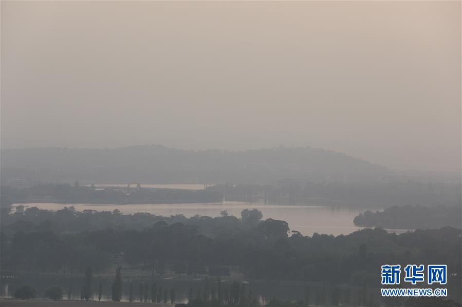 「新华网」烟笼堪培拉