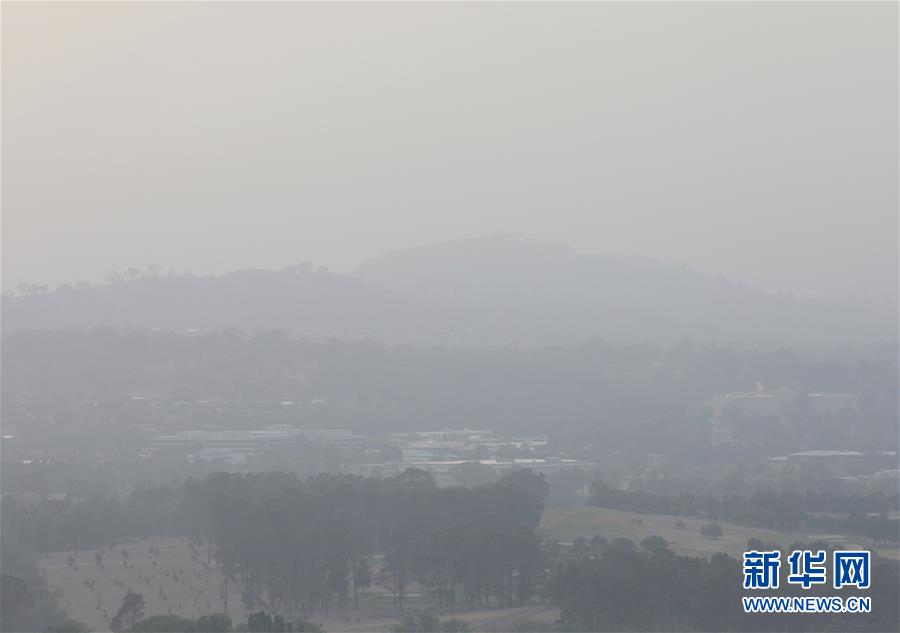 「新华网」烟笼堪培拉