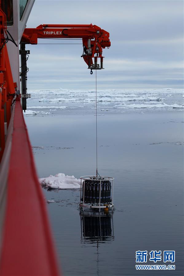 新华网■“雪龙2”号的“好奇来客”
