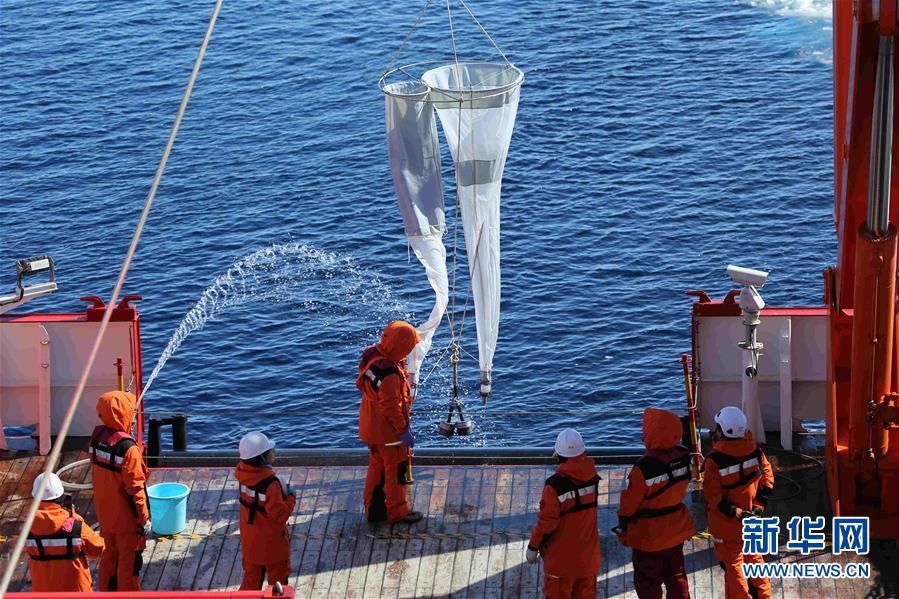 新华网■“雪龙2”号的“好奇来客”