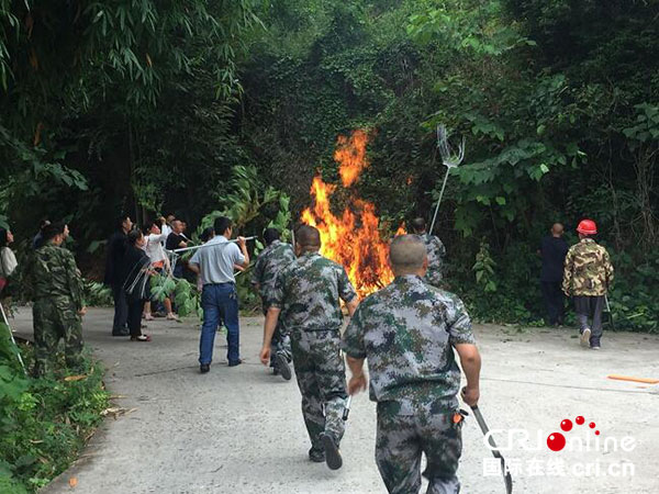 图片默认标题_fororder_3