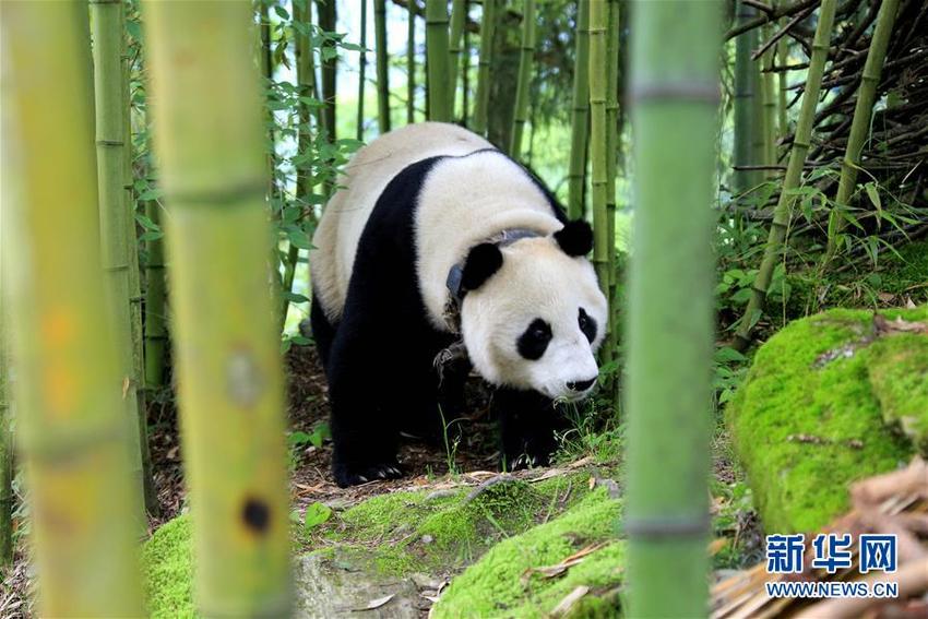 图片默认标题_fororder_34418006_2106916249586592_7621399310470479872_n