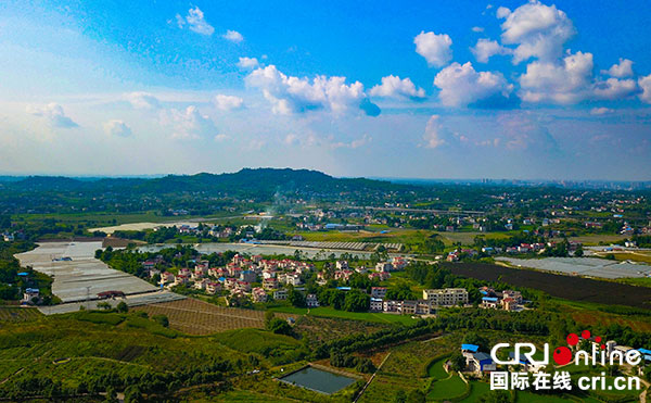 图片默认标题_fororder_1