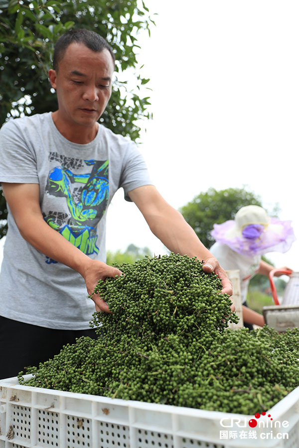 图片默认标题_fororder_3