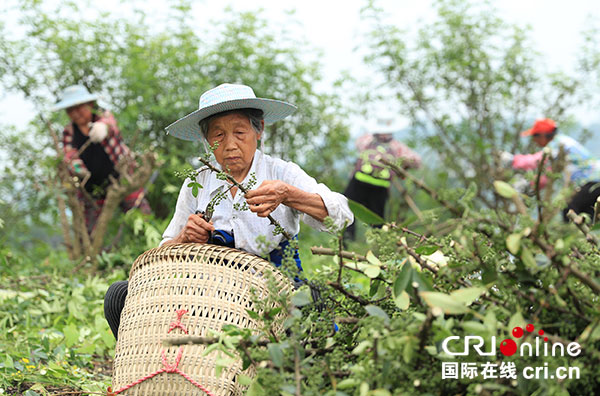 图片默认标题_fororder_1