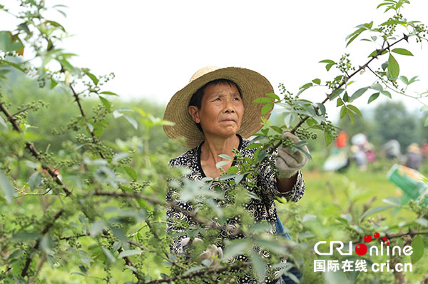 图片默认标题_fororder_2