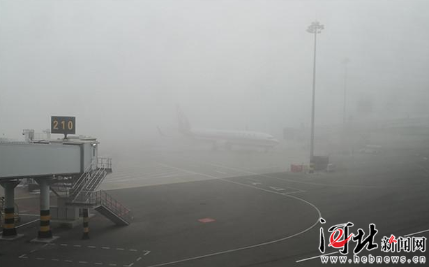 石家庄机场取消50多个进出港航班
