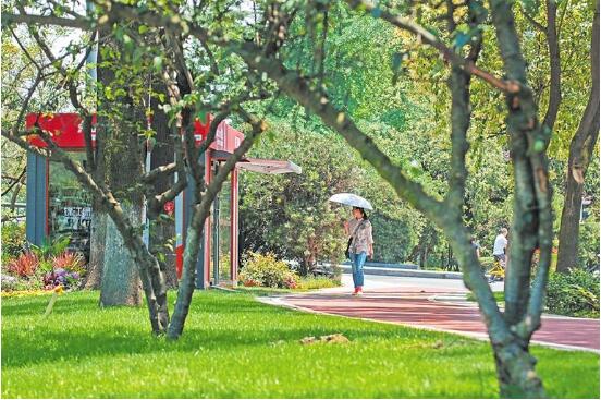 （焦点图，导航成都，移动端）成都锦江绿道样板段昨日正式开放